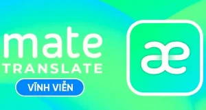 Hướng dẫn đăng ký Mate Translate Pro miễn phí vĩnh viễn 7 đăng ký Mate Translate Pro
